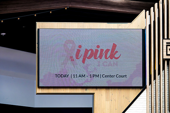 I Pink I Can 2024 WEB-190