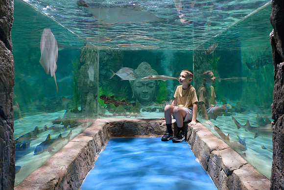 RR AquaZoo WEB-177