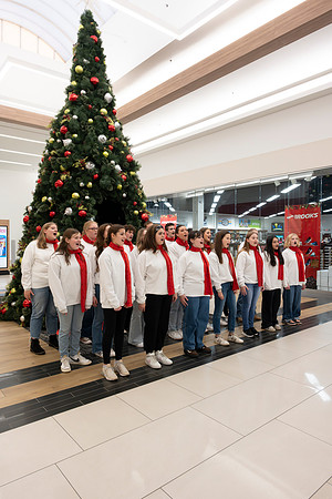 Santa Arrival 2024 PRINT-105