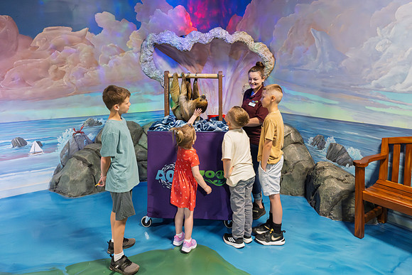RR AquaZoo PRINT-158