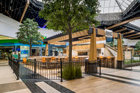 Store Fronts-Features PRINT