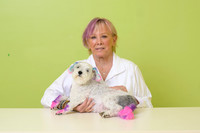 Tuffy-120