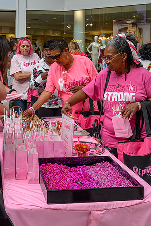 I Pink I Can 2025 WEB-121