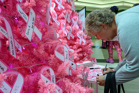 I Pink I Can 2025 PRINT-119