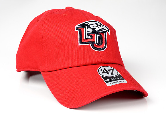 Lids WEB -101