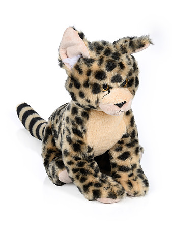 AquaZoo PRINT-104