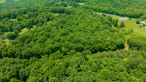 Cottontown-Coffee Rd PRINT-107