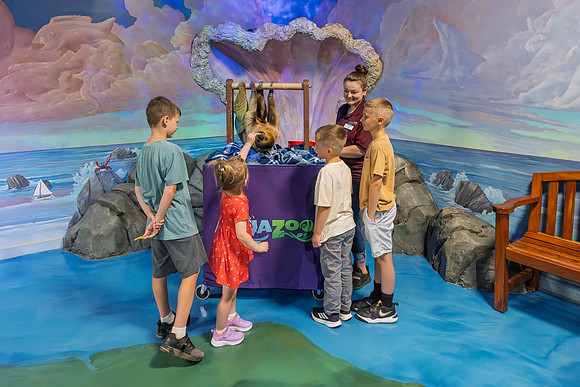 RR AquaZoo WEB-156