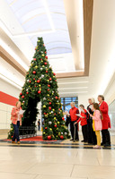 Santa-Tree Lighting 2025 WEB