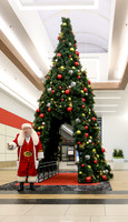 RR Santa-Tree Lighting WEB-111
