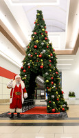 RR Santa-Tree Lighting WEB-112