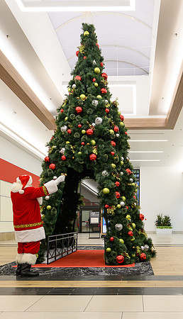 RR Santa-Tree Lighting WEB-113