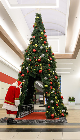 RR Santa-Tree Lighting WEB-114