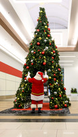 RR Santa-Tree Lighting WEB-116