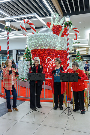 RR Santa-Tree Lighting WEB-160