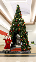 RR Santa-Tree Lighting PRINT-112