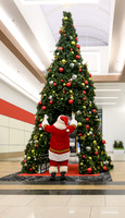 RR Santa-Tree Lighting PRINT-115
