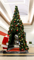 RR Santa-Tree Lighting PRINT-114