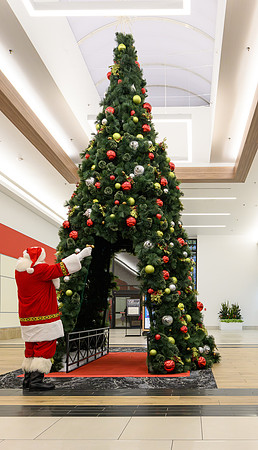 RR Santa-Tree Lighting PRINT-113