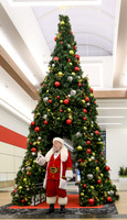 RR Santa-Tree Lighting PRINT-117
