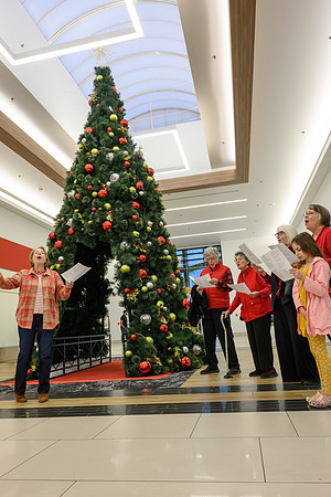 RR Santa-Tree Lighting PRINT-129
