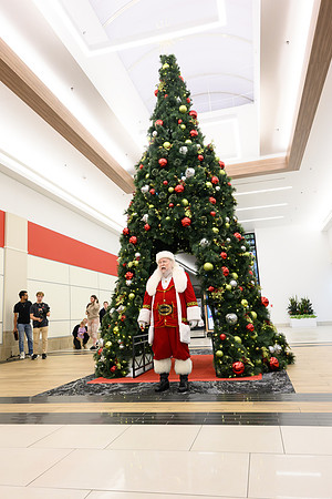 RR Santa-Tree Lighting PRINT-150