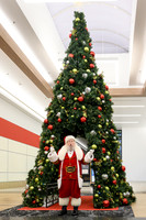 Santa-Tree Lighting 2025