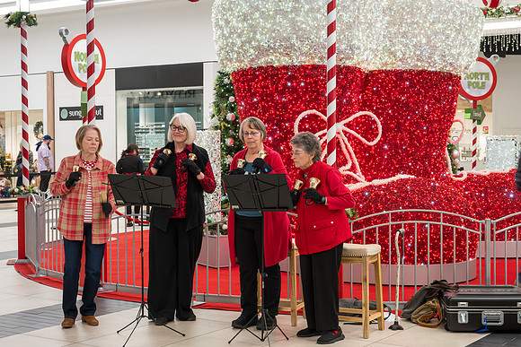 RR Santa-Tree Lighting PRINT-169
