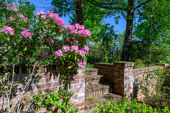 3830 Peakland Pl WEB-134