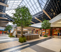 RR Central Area Cool PRINT-105