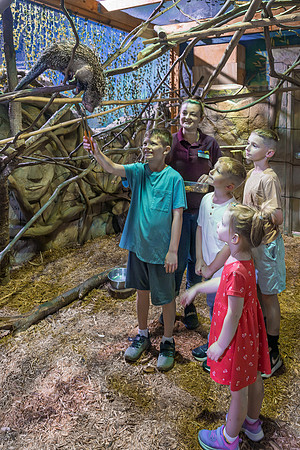 RR AquaZoo WEB-151