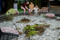 RR AquaZoo WEB-103