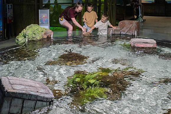 RR AquaZoo WEB-103