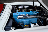 1954 Corvette PRINT-115