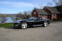 Viper PRINT-118