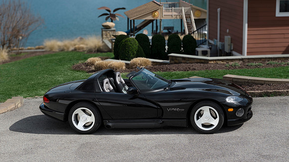 Viper WEB-110