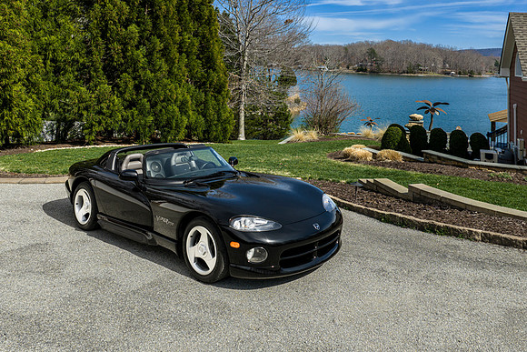 Viper WEB-106