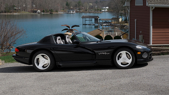 Viper WEB-111