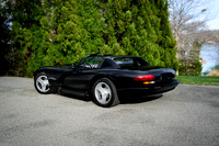 Viper WEB-116