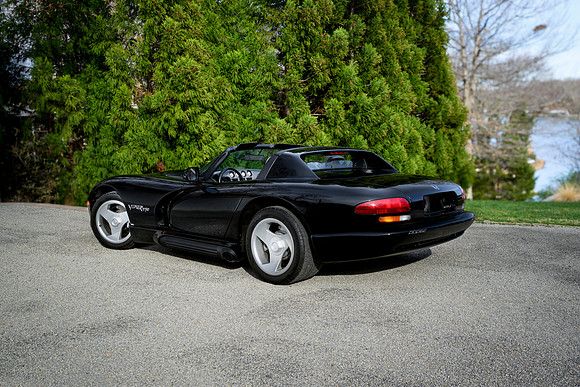 Viper WEB-116