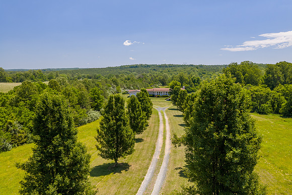 459 Iron Ridge Lane WEB-115