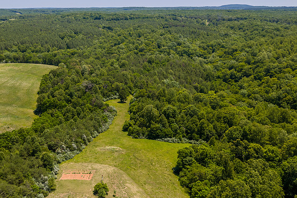 459 Iron Ridge Lane WEB-131