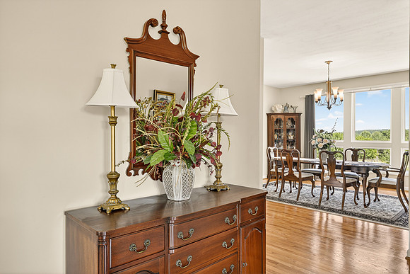 459 Iron Ridge Lane WEB-145