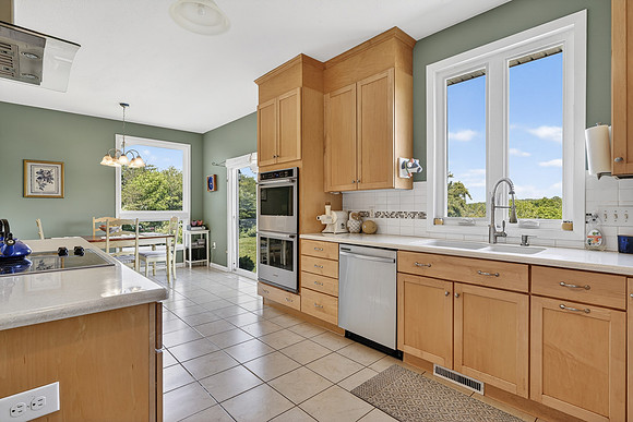 459 Iron Ridge Lane WEB-153