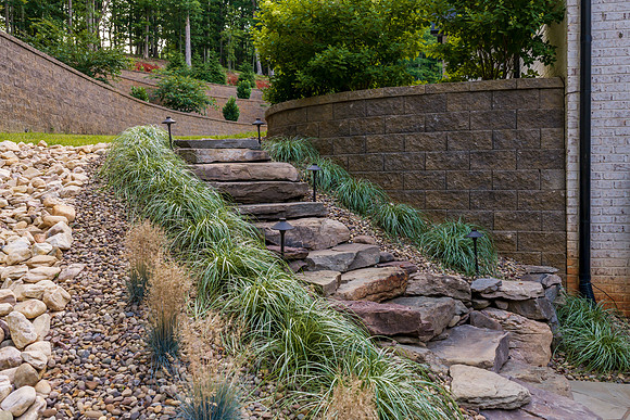 12175 Forest Road WEB-148