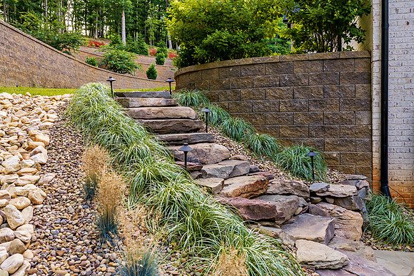 12175 Forest Rd-2 WEB-149
