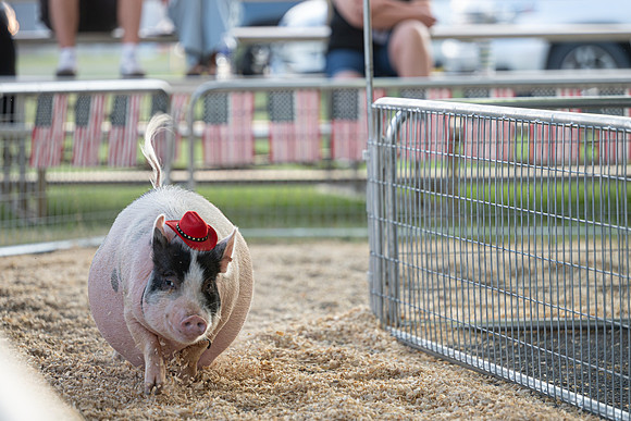 Page County Fair WEB-103