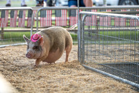 Page County Fair WEB-107