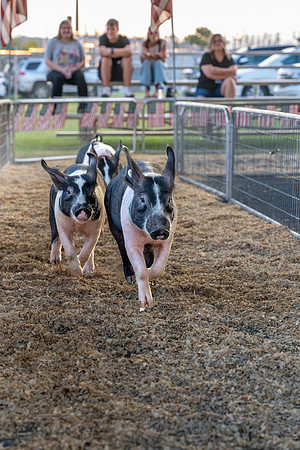 Page County Fair WEB-110
