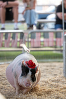 Page County Fair FULL SIZE-104